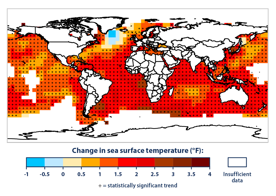 Flood Risk and Climate Change: The change in sea surface temperature