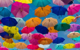 fighting climate change image of a group of umbrellas